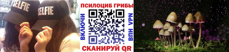 Псилоцибиновые грибы прущие грибы  наркошоп  Томари 